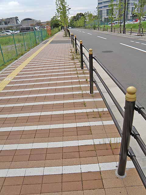 草の生えた歩道