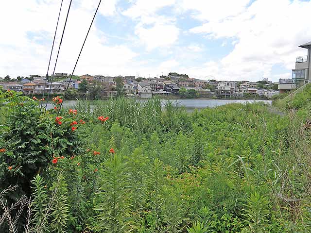 しょうたくちほー