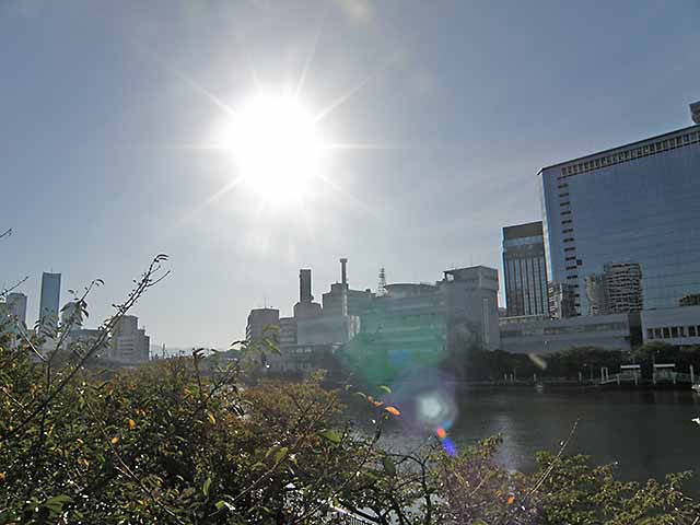 大川に射す朝日。