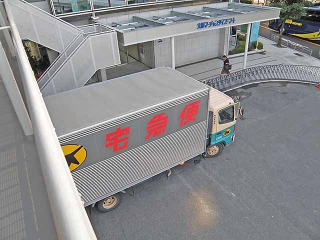 搬入に来たネコ。