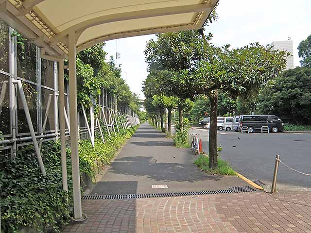 東芝ビル裏の歩道