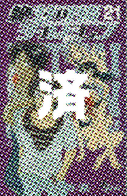 �u��Ή��`���h�����v21��