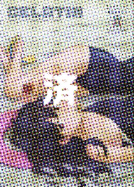 �u�G��GELATIN2010�����v