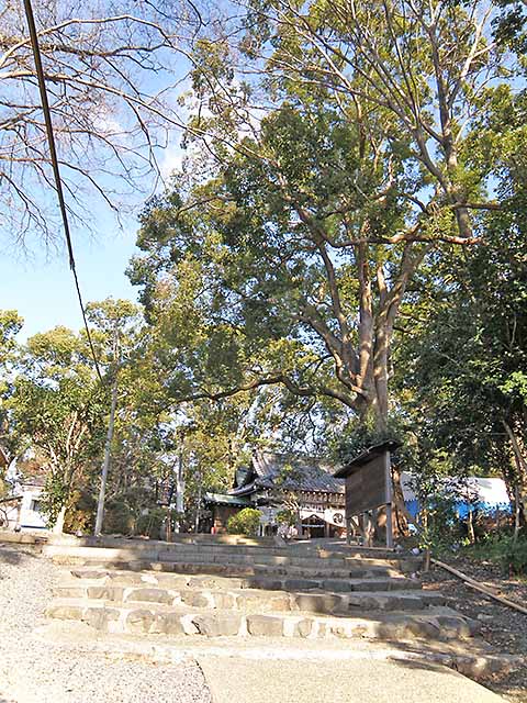 拝殿からクランクして参拝道