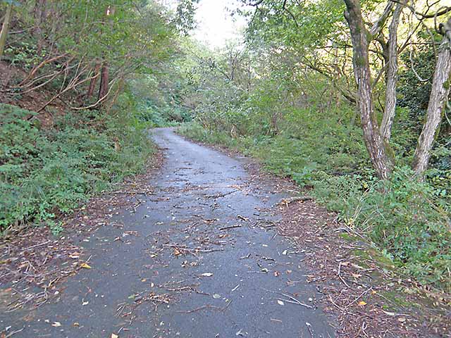 マキノ高原191021_018