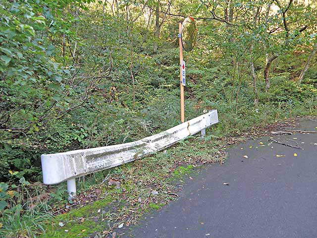 マキノ高原191021_019