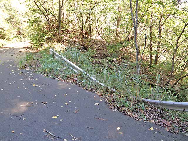 マキノ高原191021_020