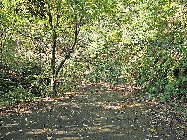 マキノ高原191021_022