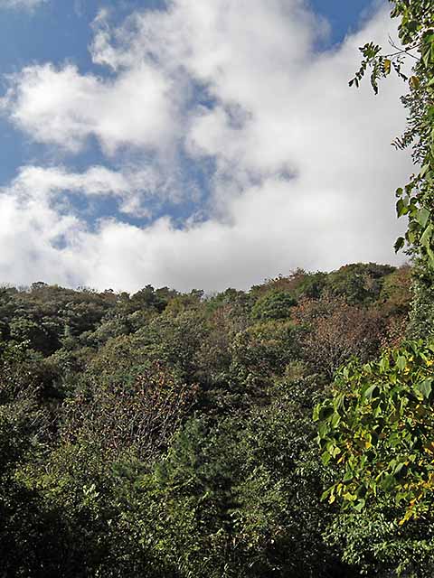 マキノ高原191021_023