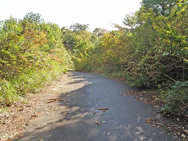 マキノ高原191021_025