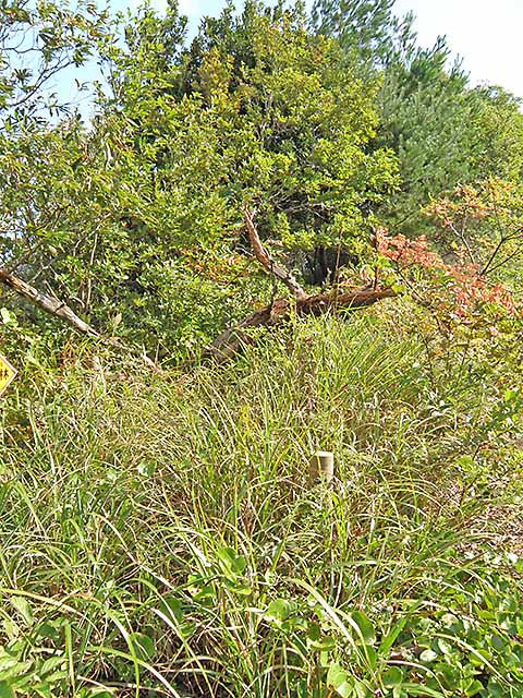 マキノ高原191021_026