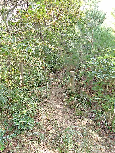 マキノ高原191021_027