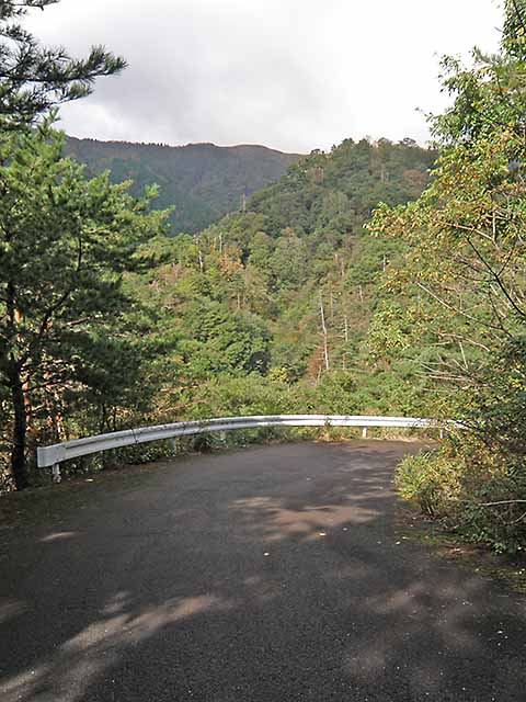 マキノ高原191021_029