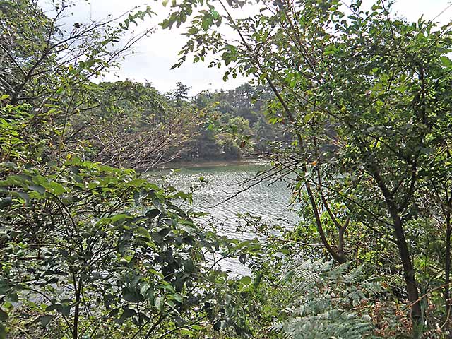 マキノ高原191021_030