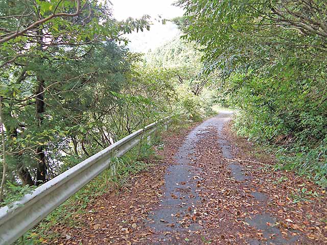 マキノ高原191021_031