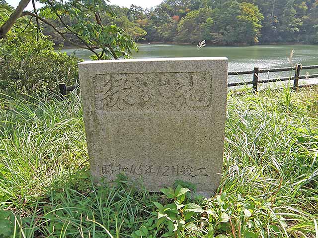 マキノ高原191021_033