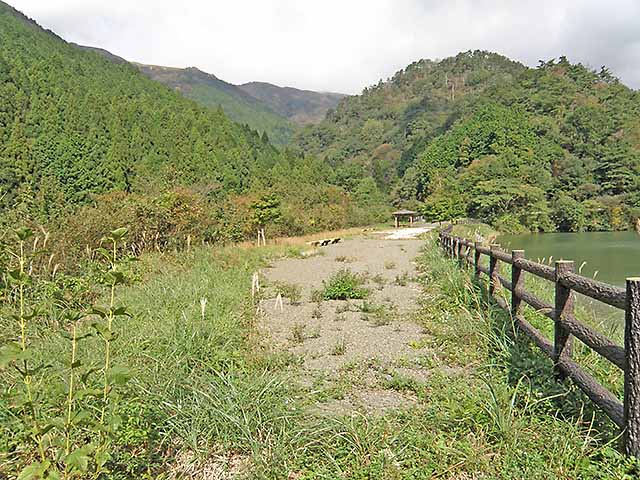 マキノ高原191021_045