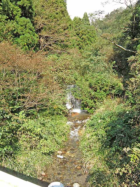 マキノ高原191021_046