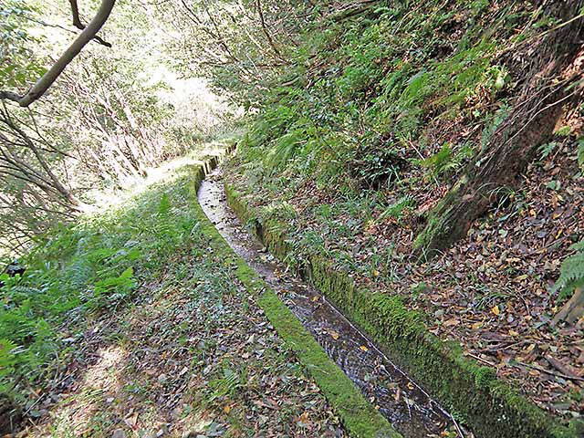 マキノ高原191021_047