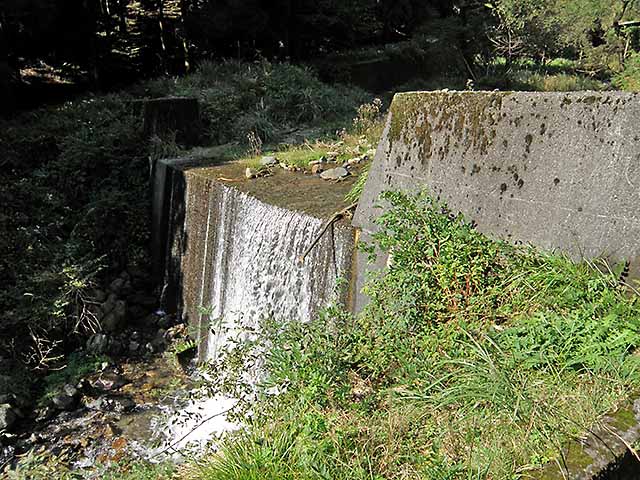 マキノ高原191021_050