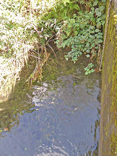 マキノ高原191021_052