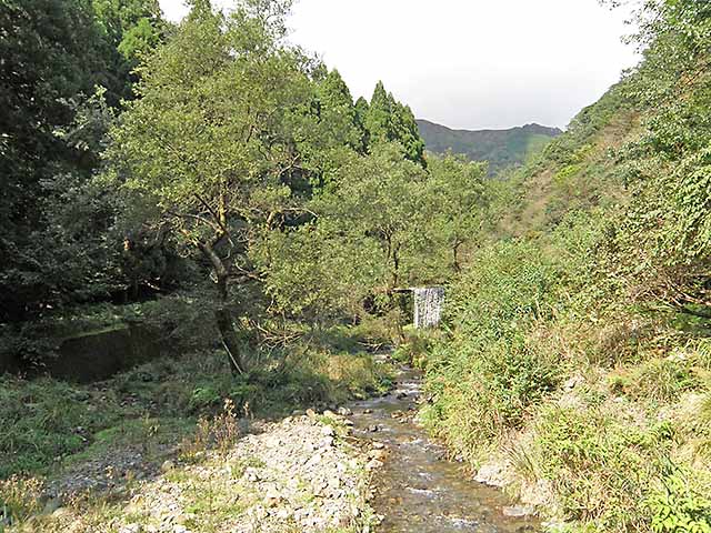 マキノ高原191021_053