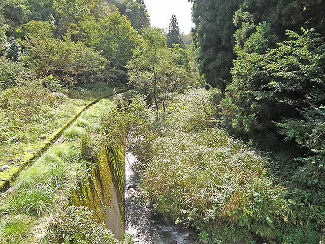 マキノ高原191021_054