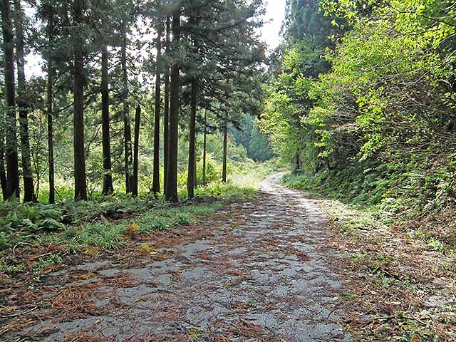 マキノ高原191021_055