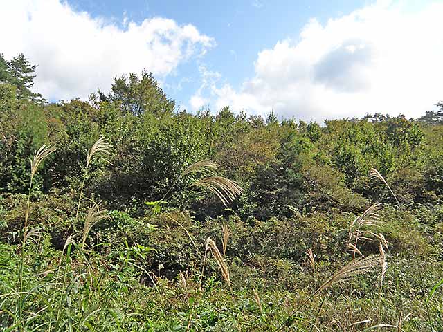 マキノ高原191021_056