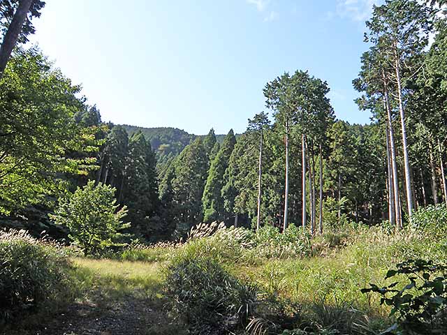 マキノ高原191021_058