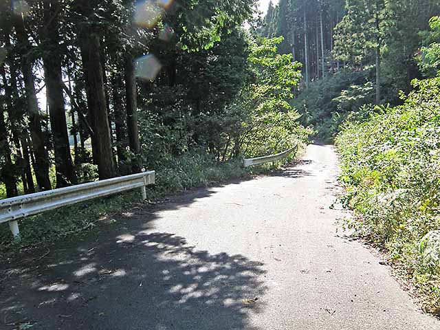 マキノ高原191021_059