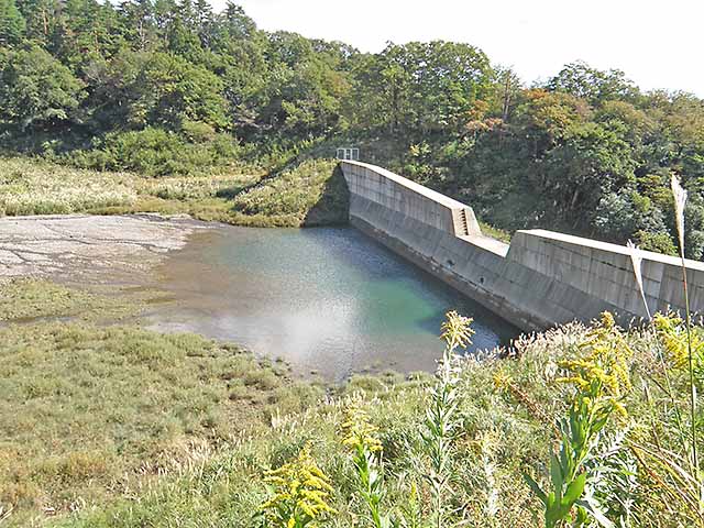 マキノ高原191021_061