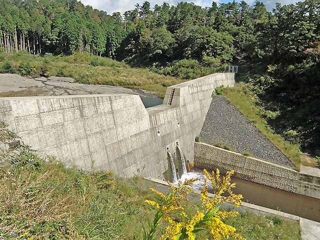 マキノ高原191021_063