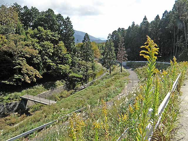 マキノ高原191021_064