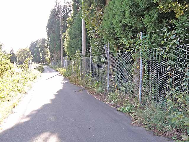 マキノ高原191021_069