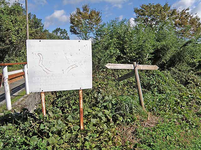 マキノ高原191021_071