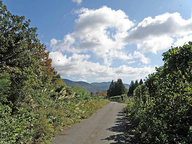 マキノ高原191021_073