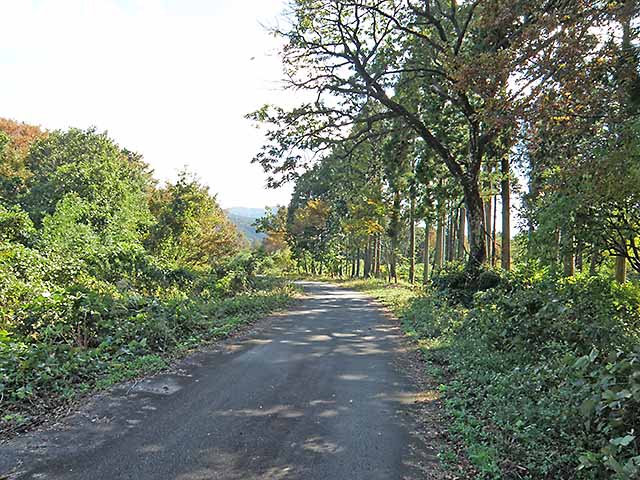 マキノ高原191021_074