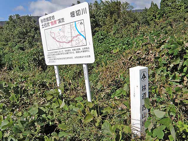 マキノ高原191021_079