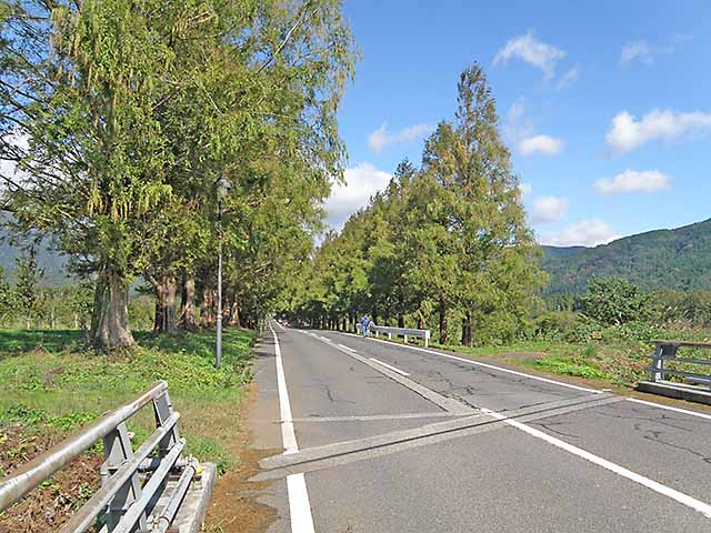 マキノ高原191021_081