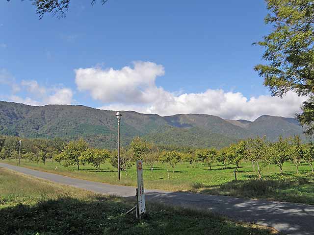 マキノ高原191021_082