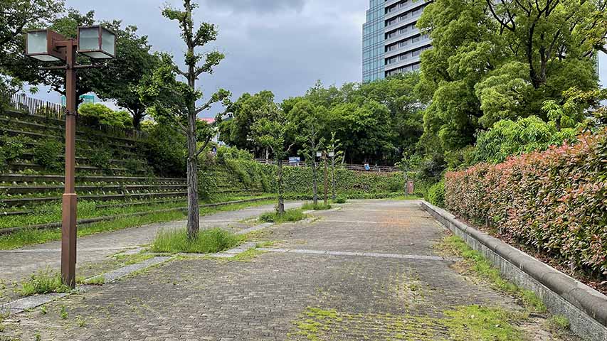 インテックス大阪への街路